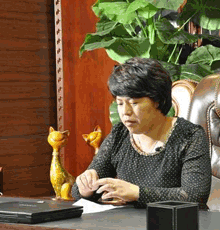 知名家具美容师王淑丽老师